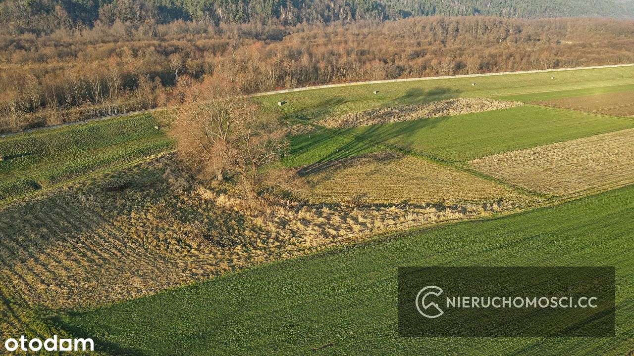 Działka rolna 15 ar OKAZJA ! Osieczany ! - Pełny obrazek: 4/8