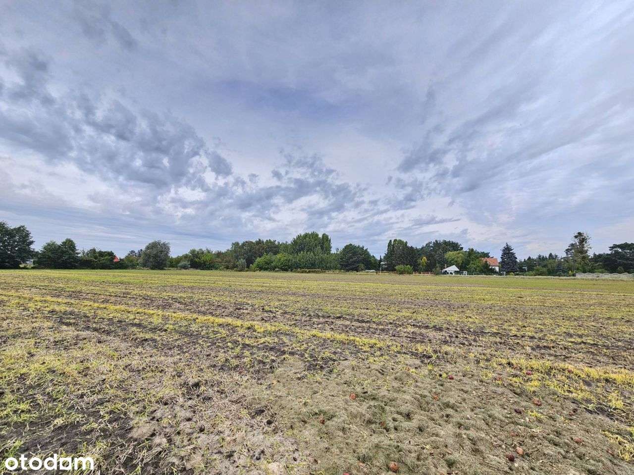 Działki handlowo-usługowe Starołęka-1