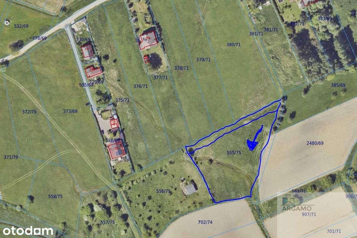 działka Rolna lub weekendowy Chill - Pełny obrazek: 2/8