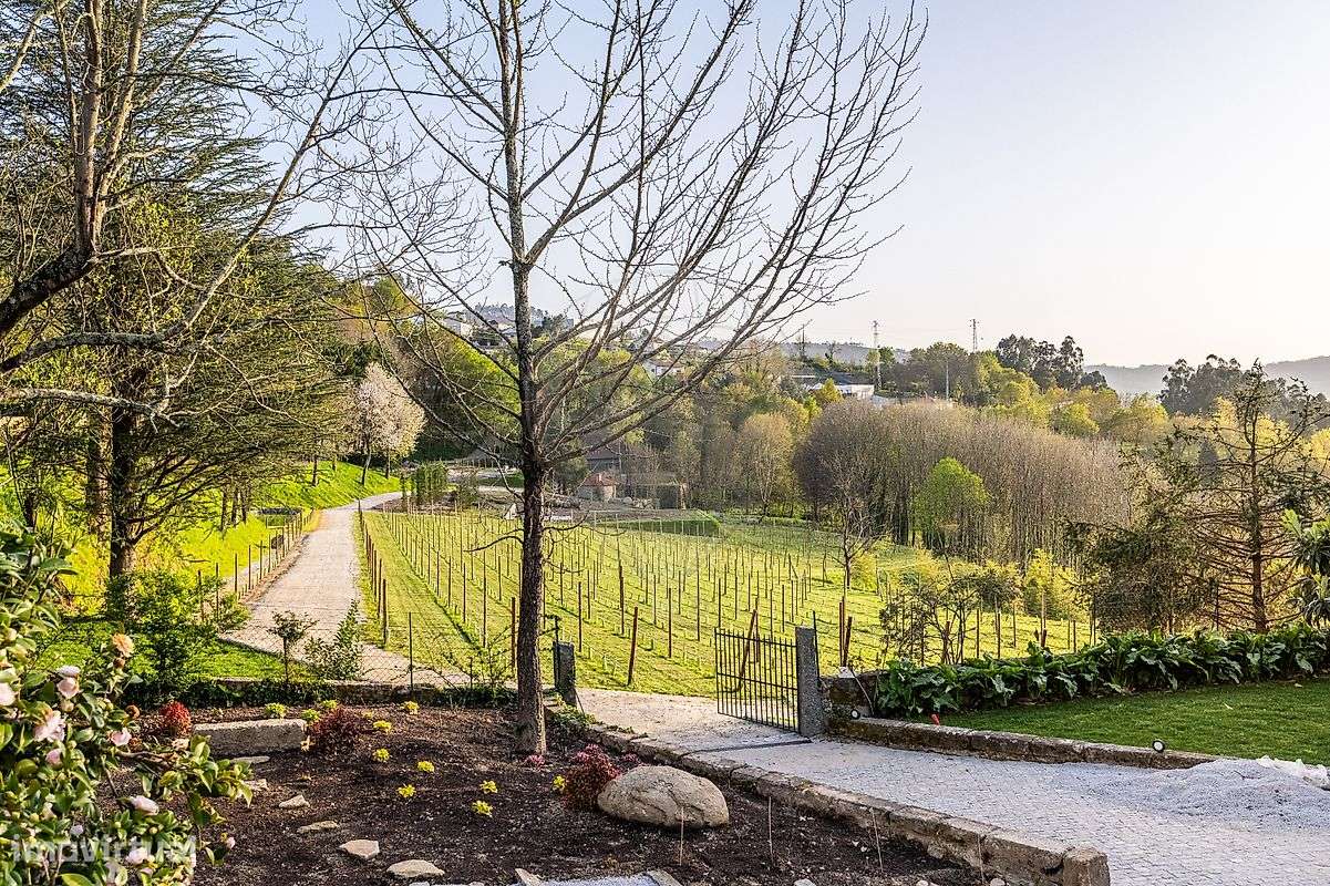 Quinta  para venda-16