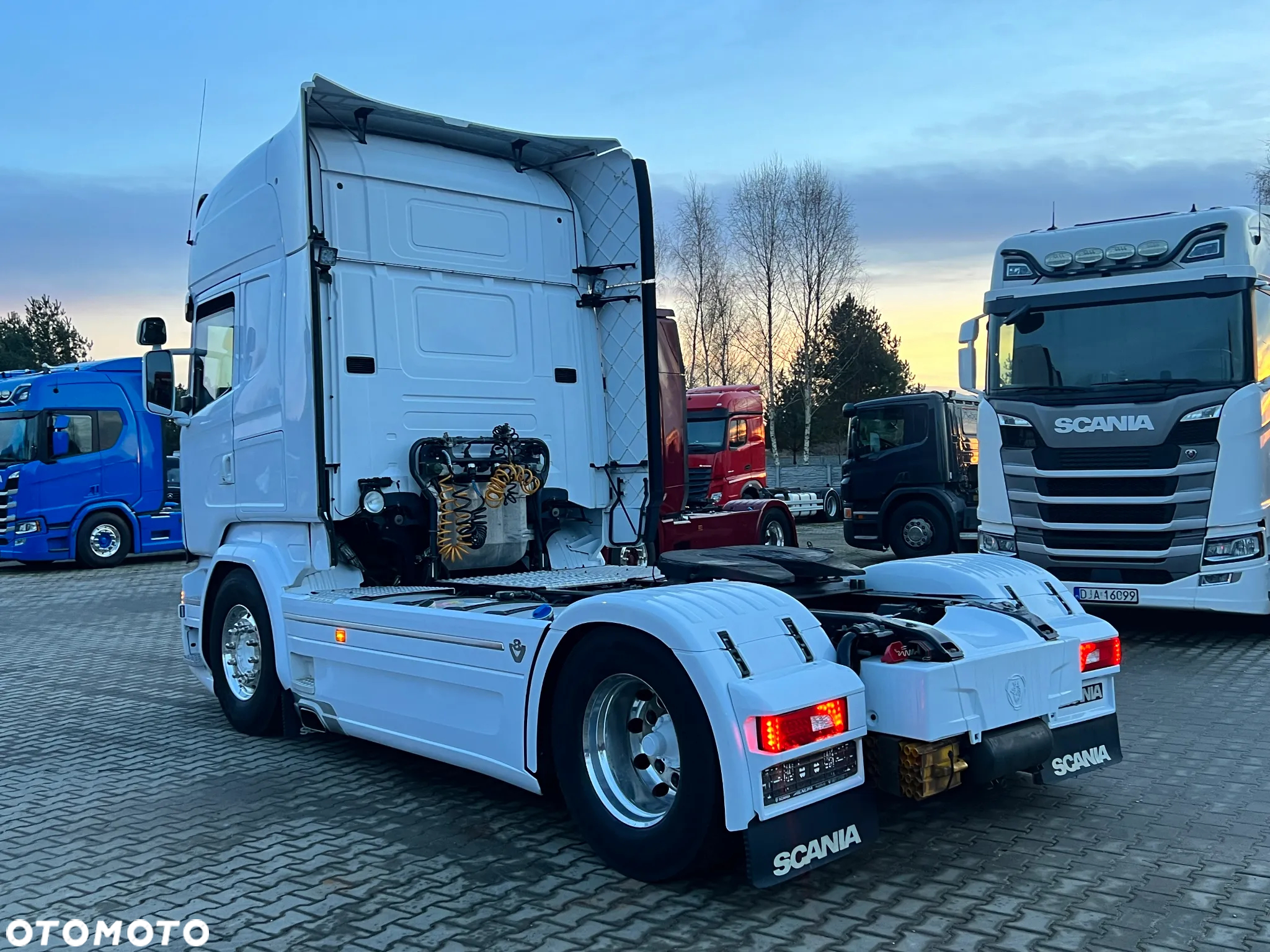 Scania r580 v8 porsche ediotion TYLKO 250 SZTUK limitowana z Niemiec cała na poduszce - 6