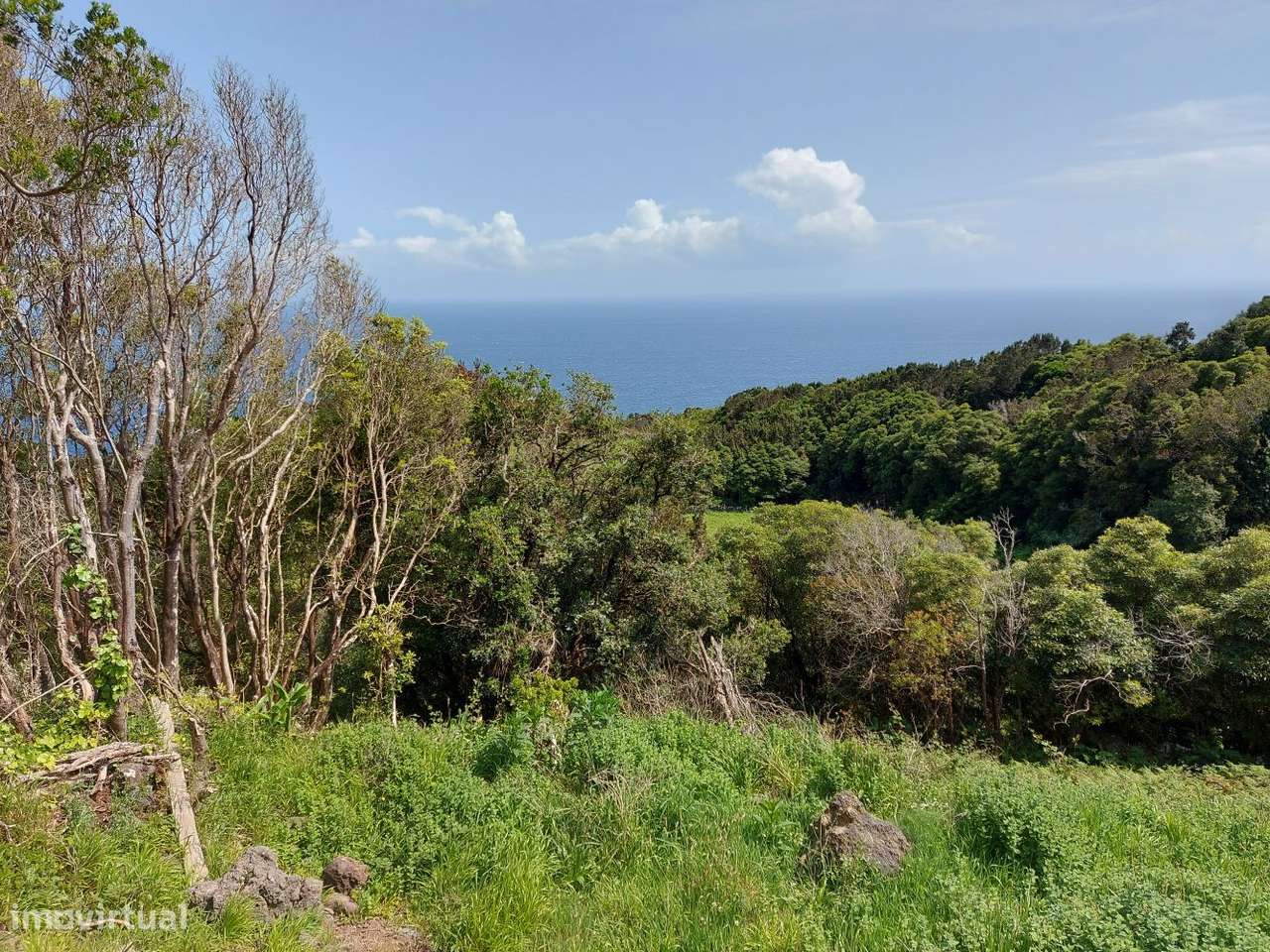 Fantástico Terreno com Projeto Aprovado - Pico - Azores - Grande imagem: 5/18