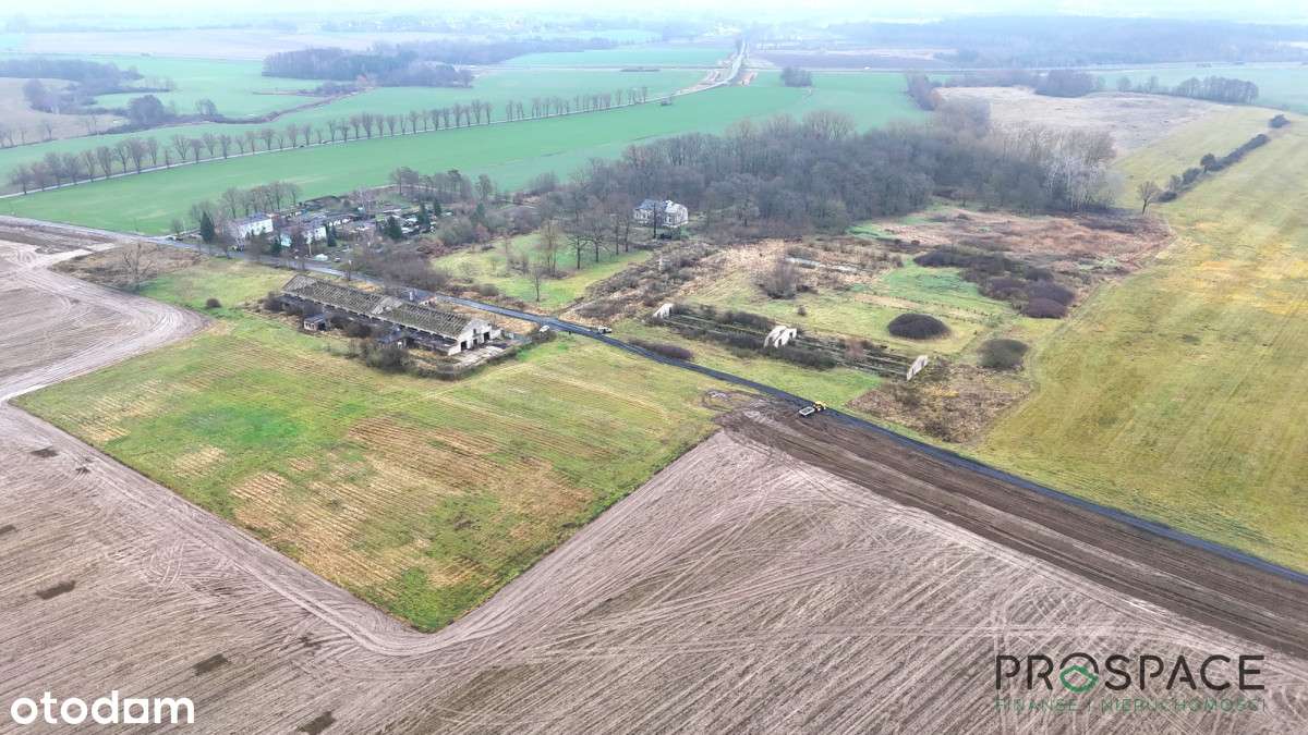 Działka rolna 9,5ha z potencjałem - Pełny obrazek: 4/8