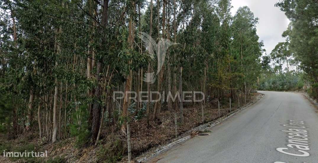 Terreno para Construção Sandim  – Potencial para Polo Industrial - Grande imagem: 3/9