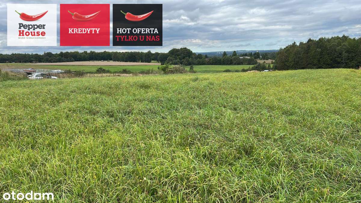 działka z warunkami zabudowy - Pełny obrazek: 5/9