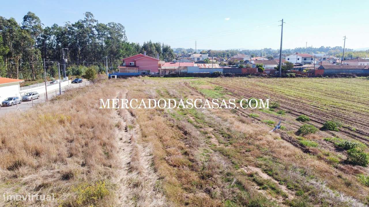 Terreno c/ 16,560m2 - São Miguel de Souto-1
