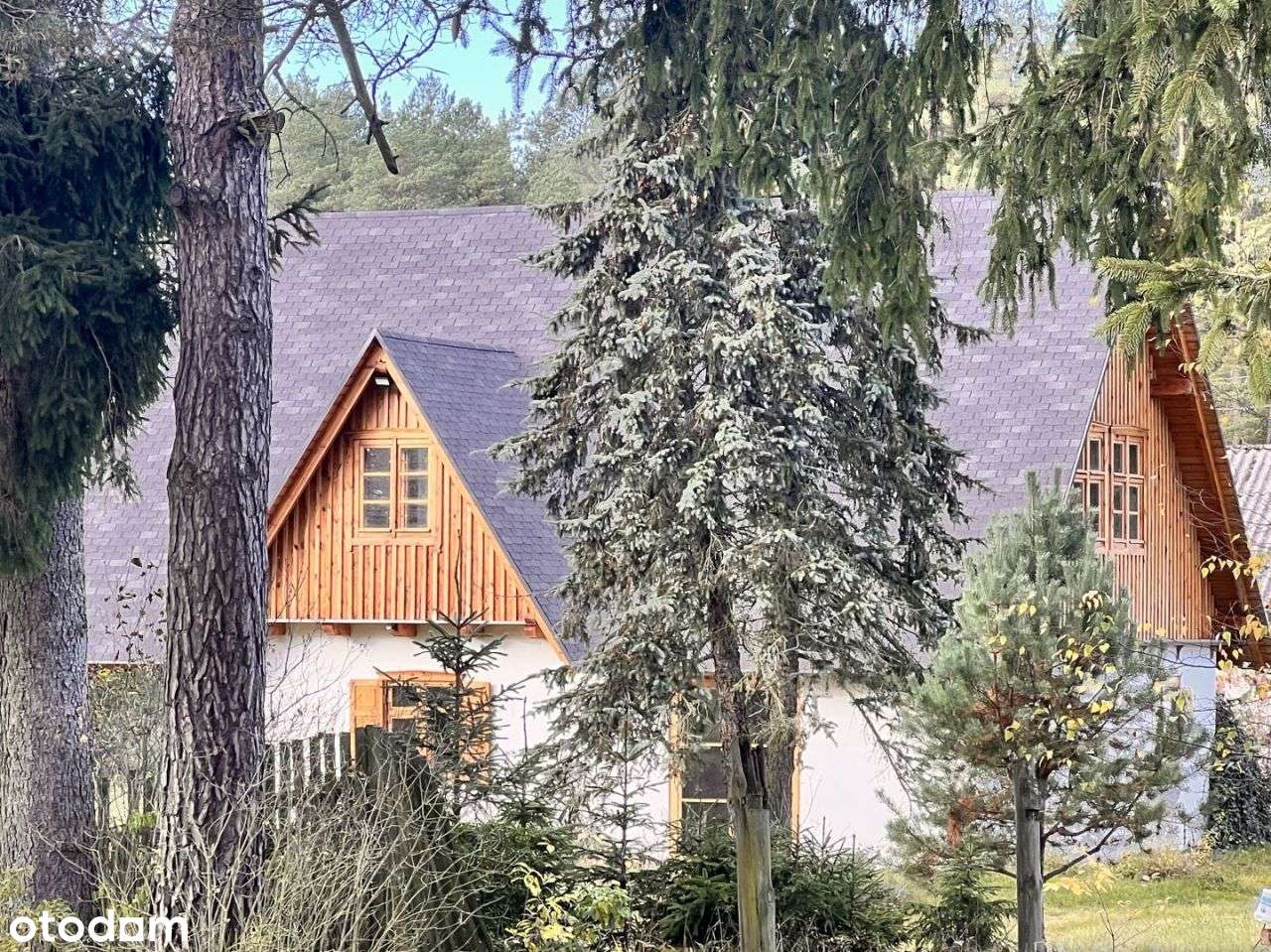 Działka siedliskowa z linią brzegową, przy lesie-13