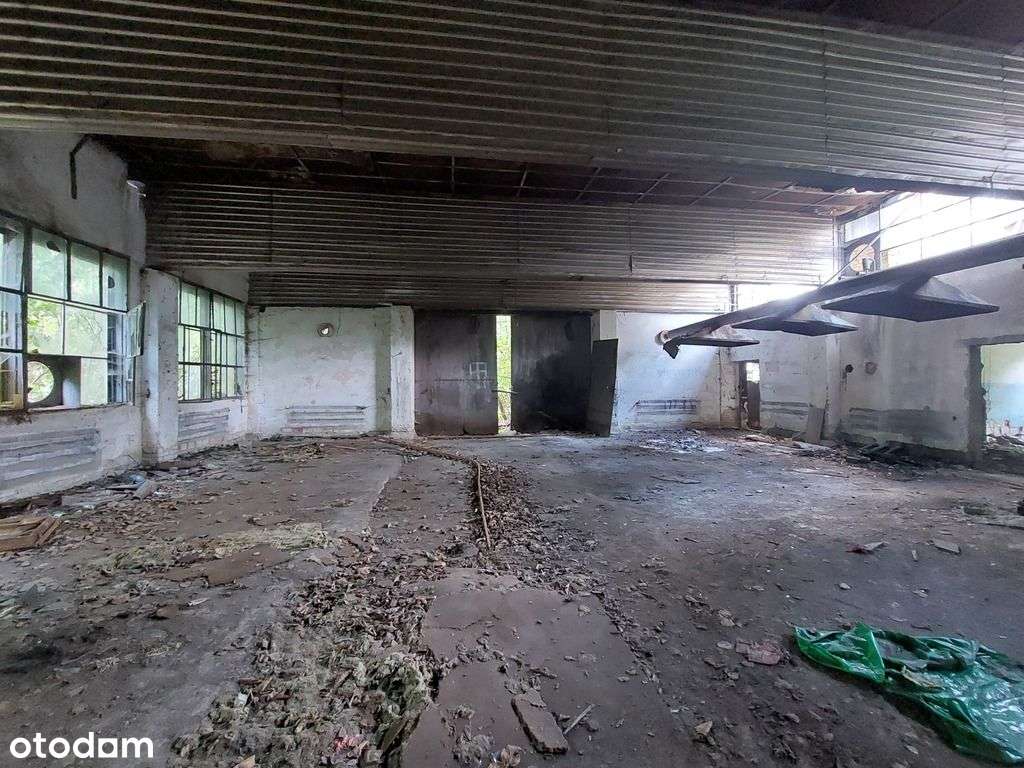 Działka z halą magazynową - Pełny obrazek: 4/10