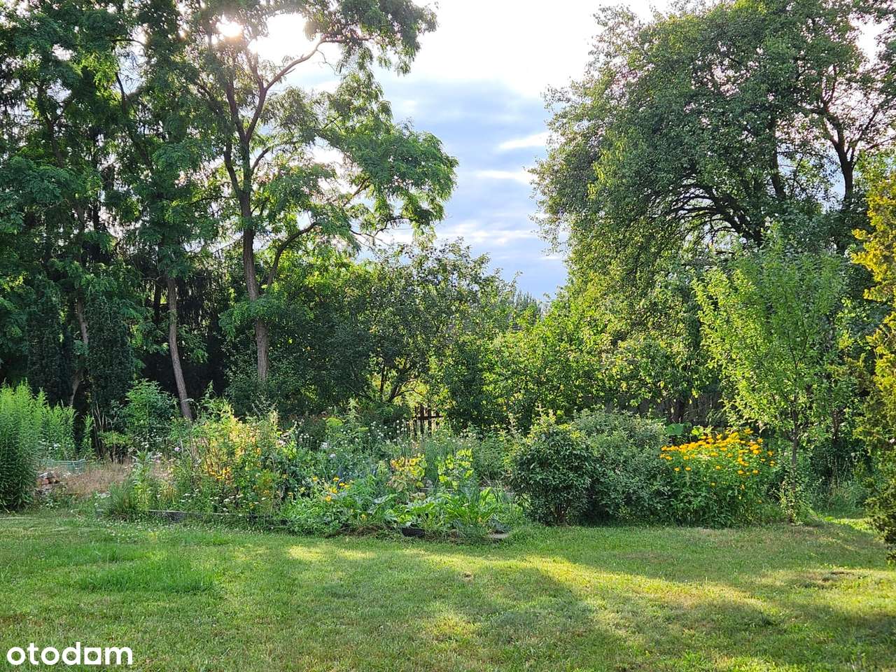 Urokliwa nieruchomość w gminie Radziejowice-5