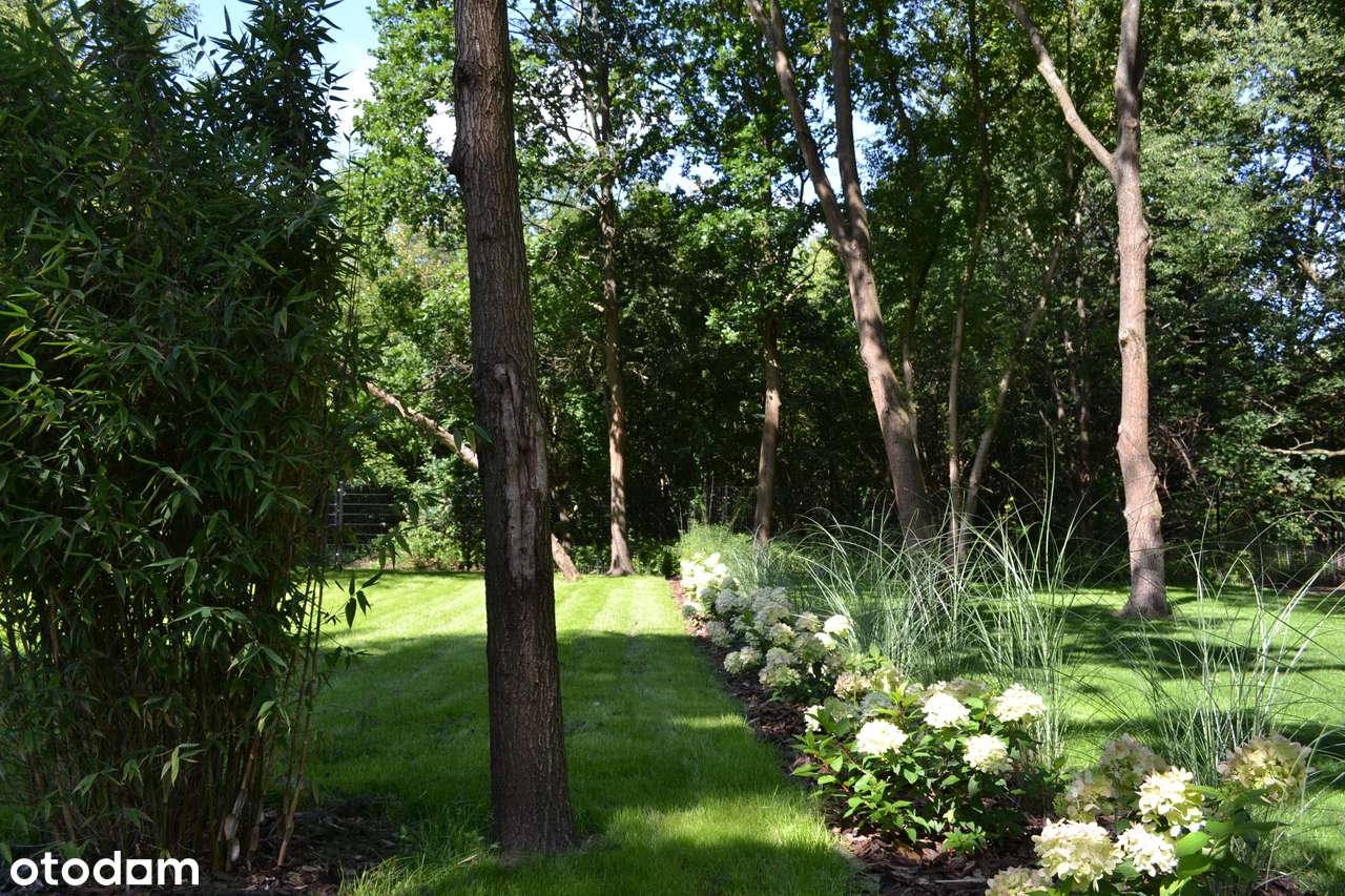 Bezpośrednio nowy, luksusowy dom w Podkowie Leśnej - Pełny obrazek: 5/18