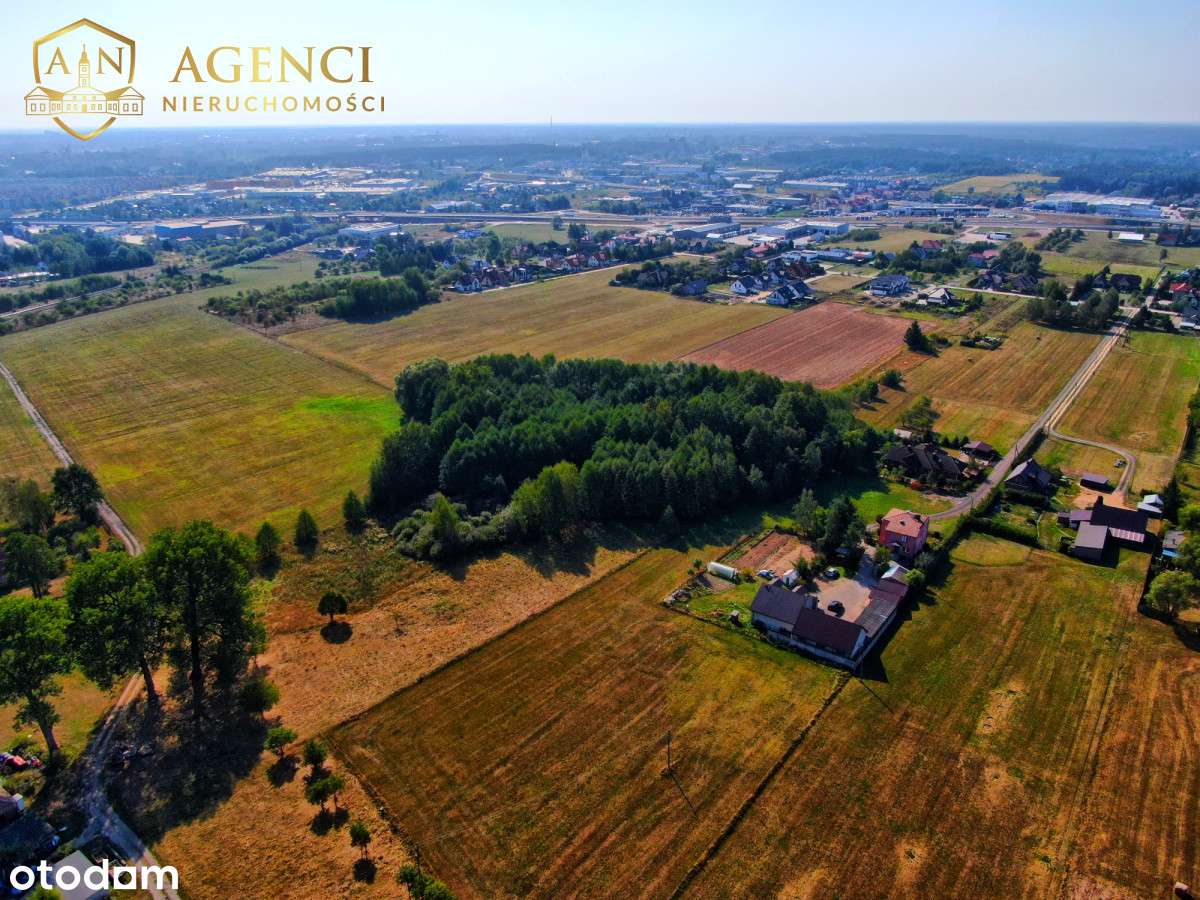 ** Porosły ** Mpzp ** 12 381 m2 **-6