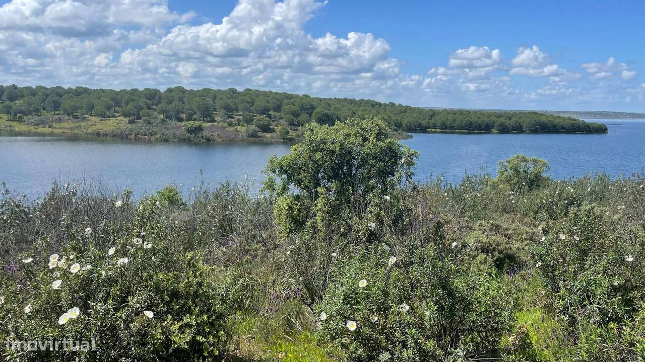 Terreno na Margem Alqueva-13