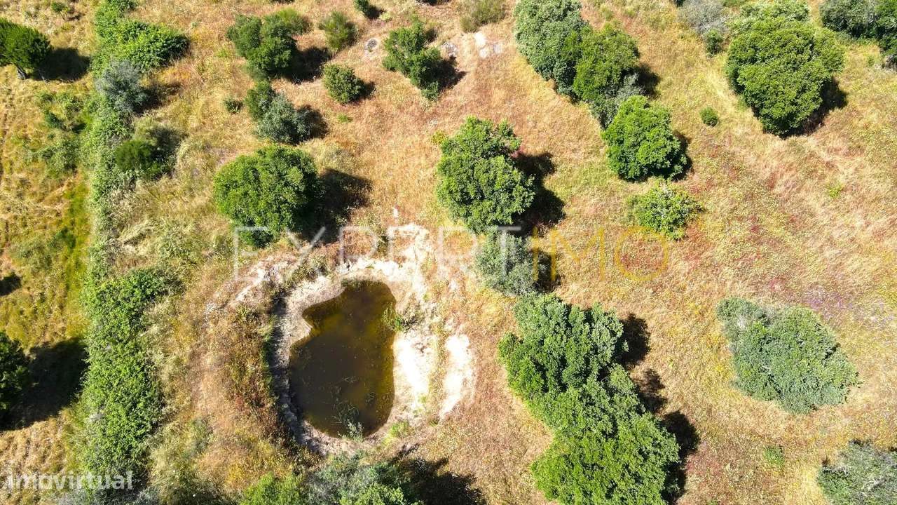 Terreno com 10500 m2 - 2 furos e uma charca - Nisa - Grande imagem: 4/14