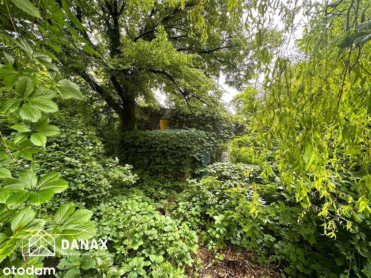 Wyjątkowa działka w otoczeniu lasu o pow. 49a - Pełny obrazek: 4/5