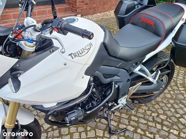 Triumph Tiger - 36