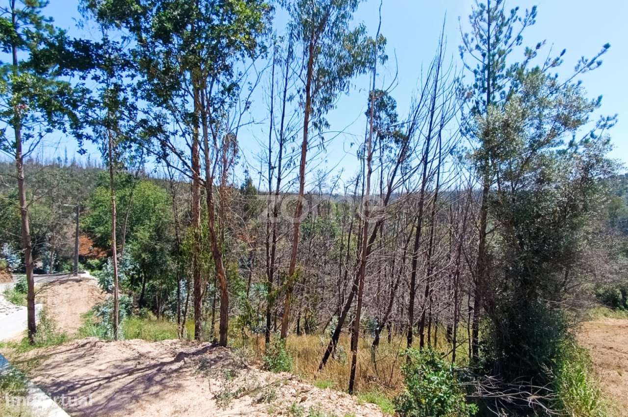 Terreno 1.412 m² | Construção, Habitação ou Indústria | Angeja-13