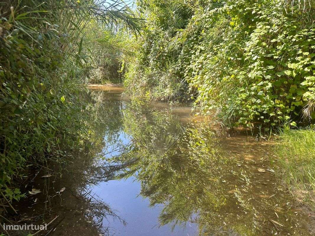 Terreno  para venda - Grande imagem: 4/25