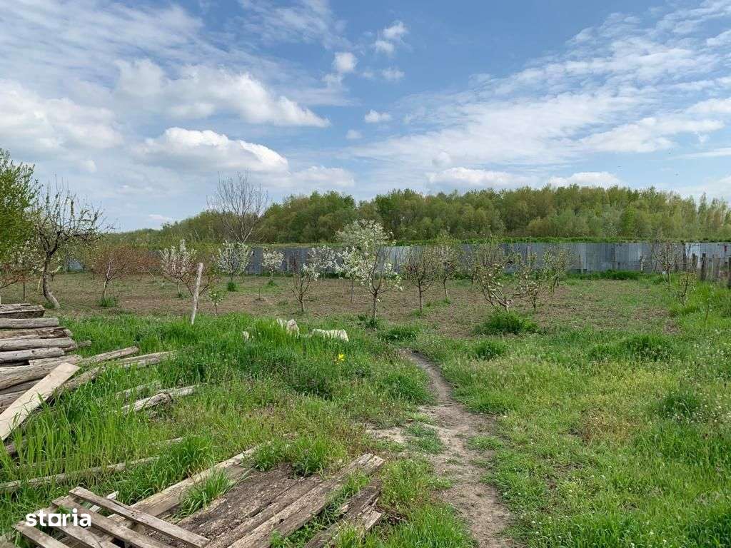 Casa cu teren 8300 mp-1