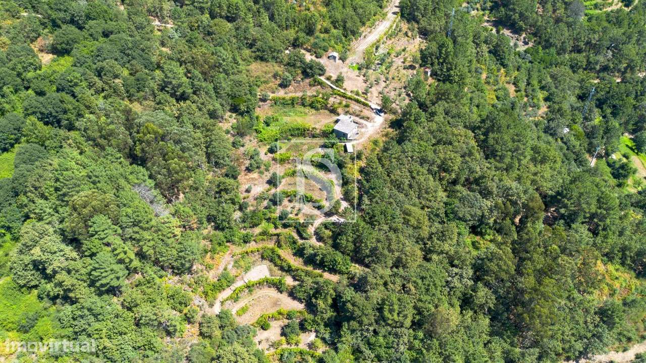 Quinta em UDF de Bustelo, Carneiro e Carvalho de Rei - Grande imagem: 2/55