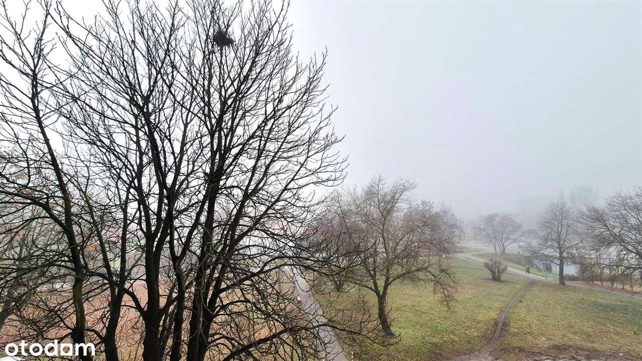 Świetna lokalizacja Wszędzie blisko-13