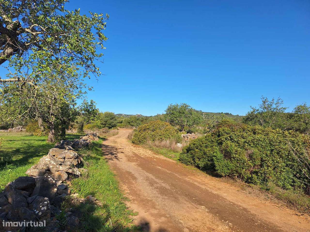 Terreno Rústico no Sítio do Laranjeiro de Santa Catarina da Fonte d...-6