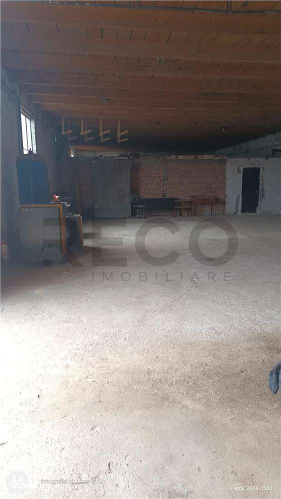 RECO Hale predestinate prelucrarea lemnului, loc. Auseu, sat. Gheghie - Imagine principală: 4/10