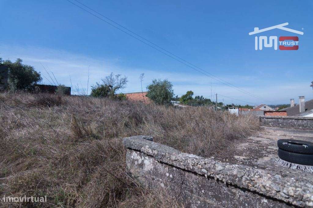 Terreno para construção centro de Albergaria dos Doze - Grande imagem: 3/8