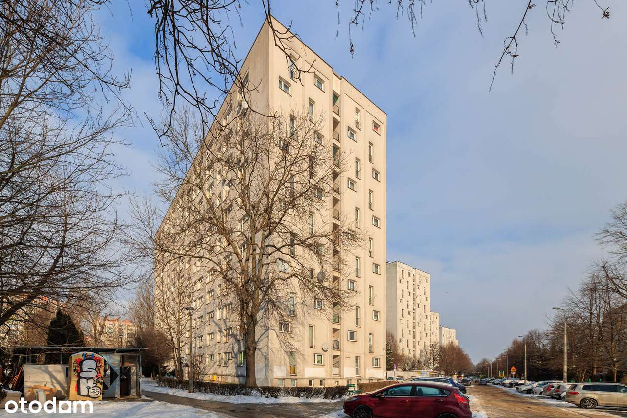 2M| dla pary/singla lub inwestycyjnie_piwnica| TYLKO U NAS!-14