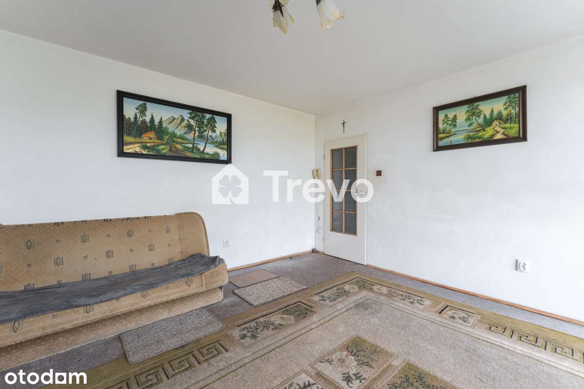 Obcokrajowiec| Morena |Niski budynek| Zach. strona - Pełny obrazek: 5/20