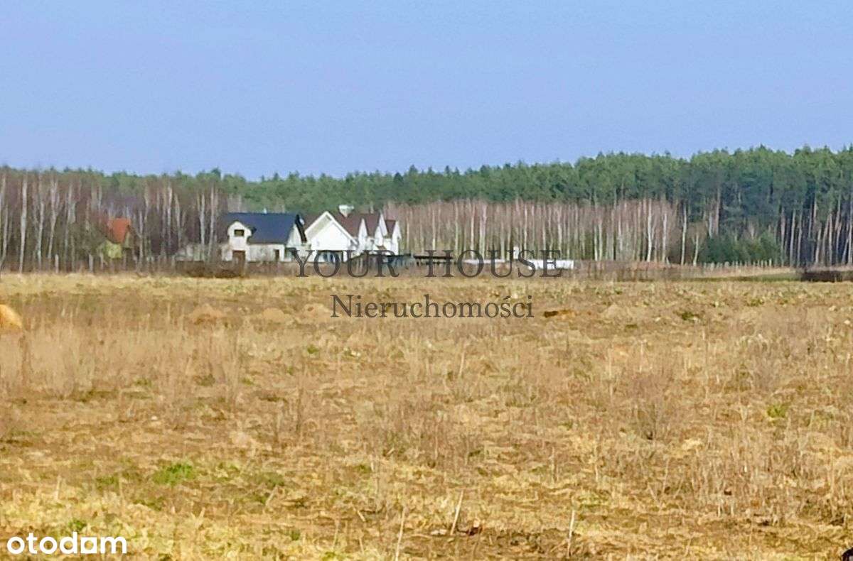 MiŁoszyce - Pełny obrazek: 4/9