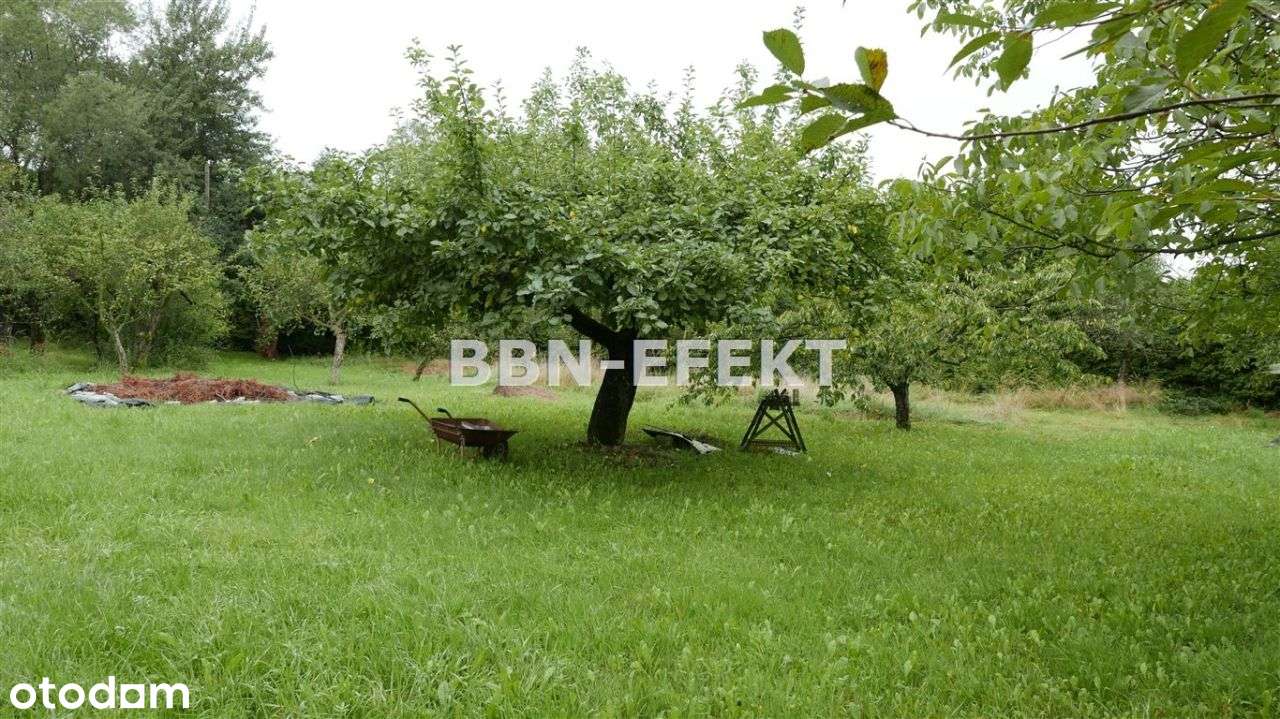 Działka, 2 886 m², Kozy - Pełny obrazek: 5/9