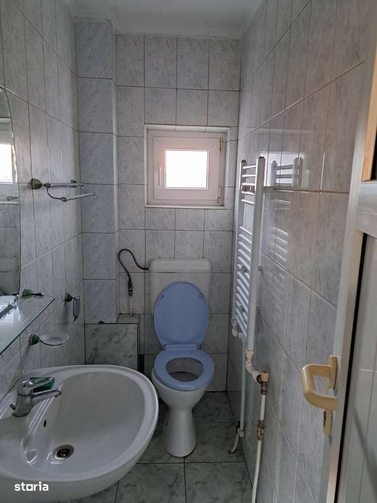 OFERTĂ in Băcia, Hunedoara ! Proprietate 2 case + Cabană + Livadă-9