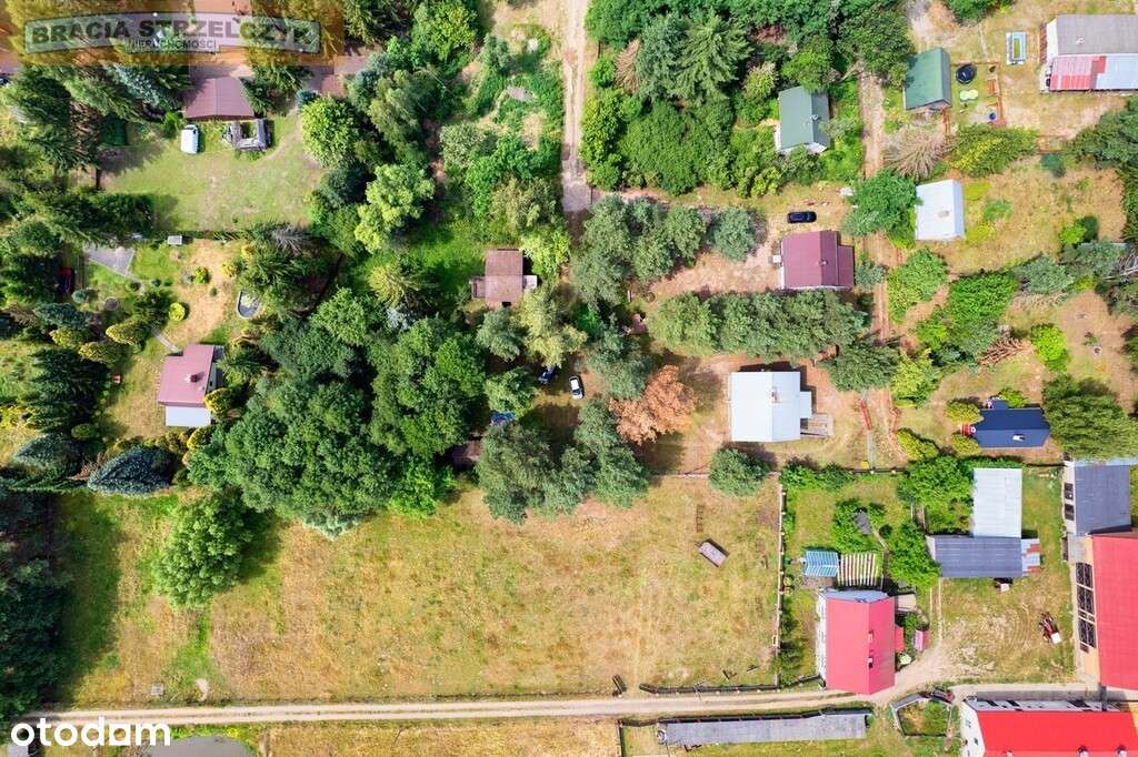 Nowe Załubice, dom z dużą działką 2445m² - Pełny obrazek: 5/12