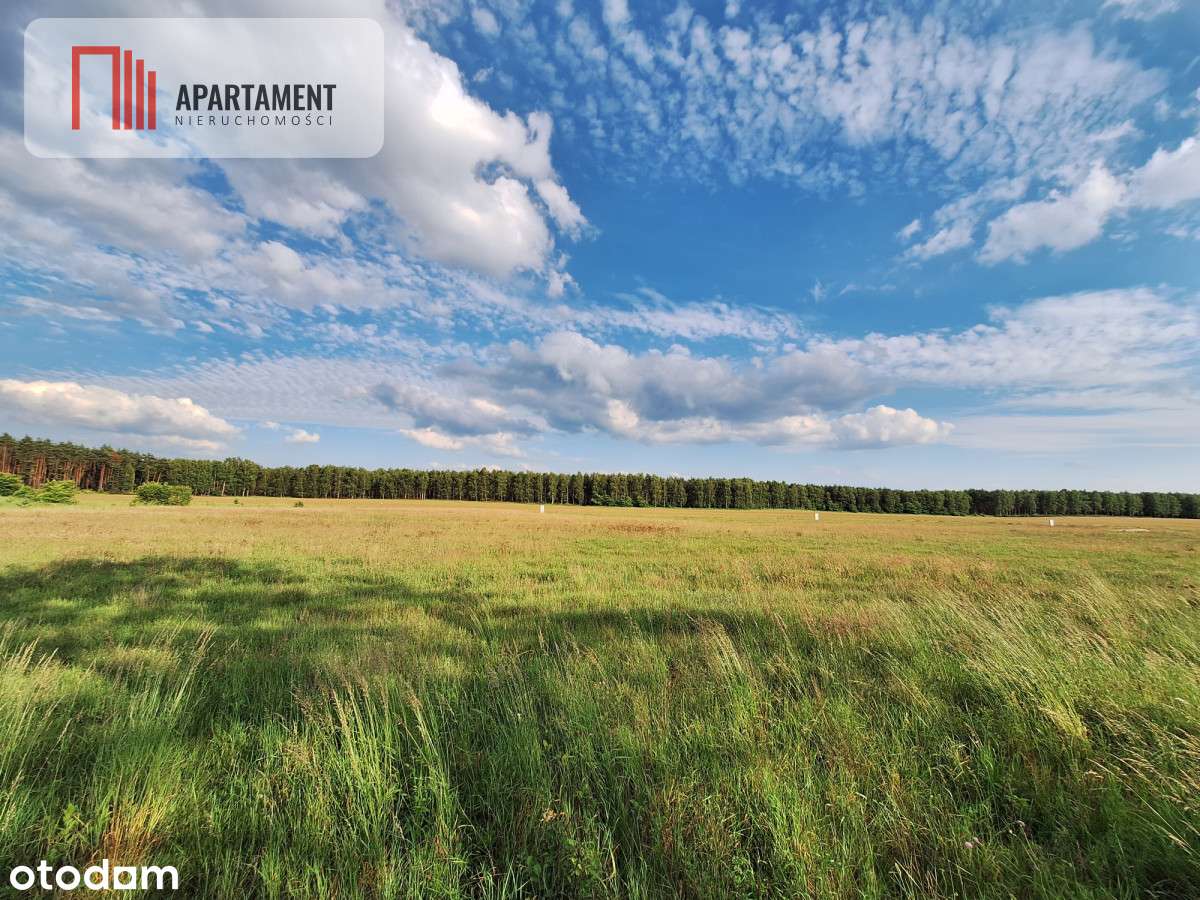 Okazja! Tania Działka Budowlana Blisko Piły! - Pełny obrazek: 4/7