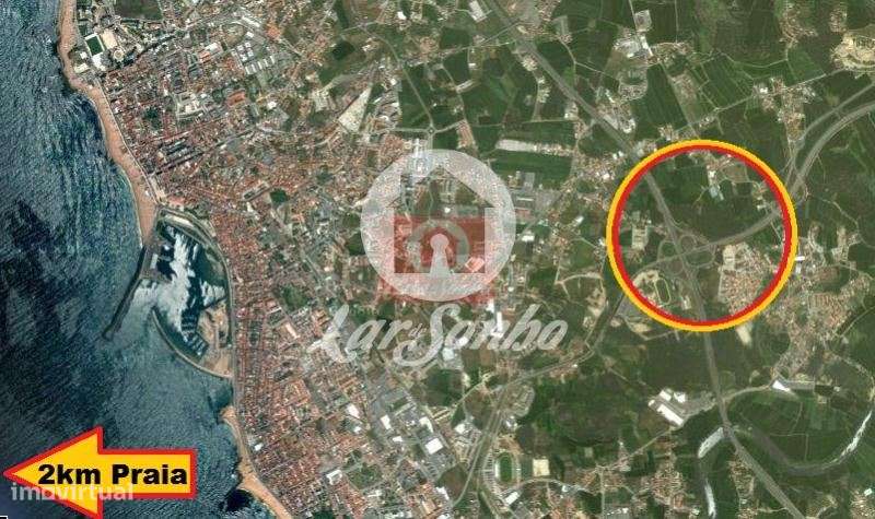 Terreno Florestal de 2.600m2 em Touguinha - Vila do Conde - Grande imagem: 3/4