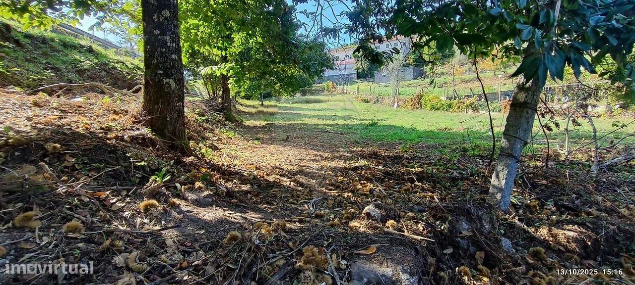 Terreno  para venda - Grande imagem: 5/15