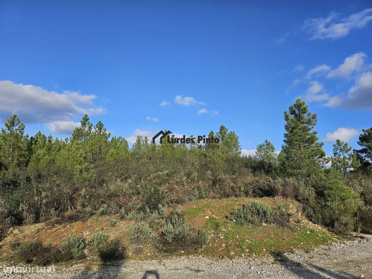 Pinhal com 8, 280 m2 - Grande imagem: 5/19