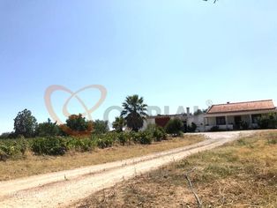 Fantástica Moradia situada na Vidigueira, Alentejo, Portugal - Grande imagem: 3/24