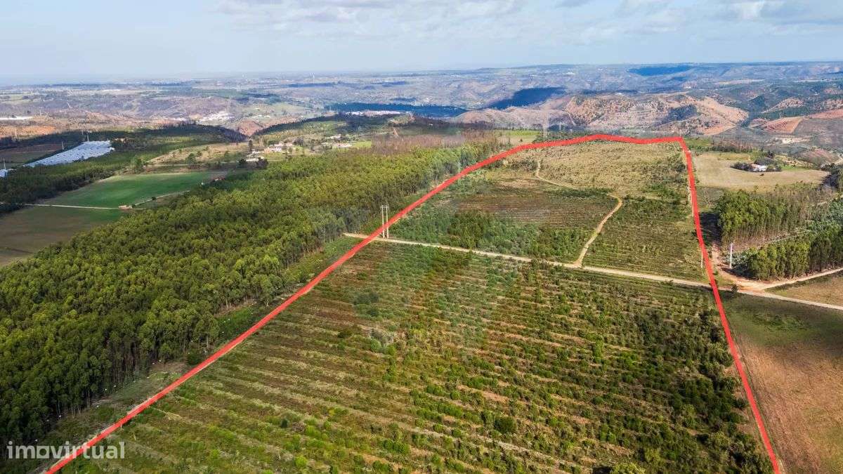 Herdade Agrícola com potencial turístico-7