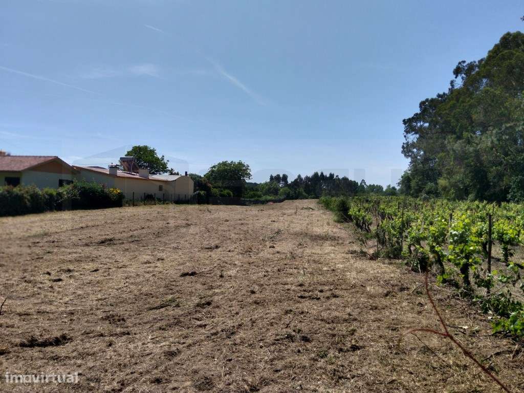 Terreno para construção de moradia - Troviscal-6