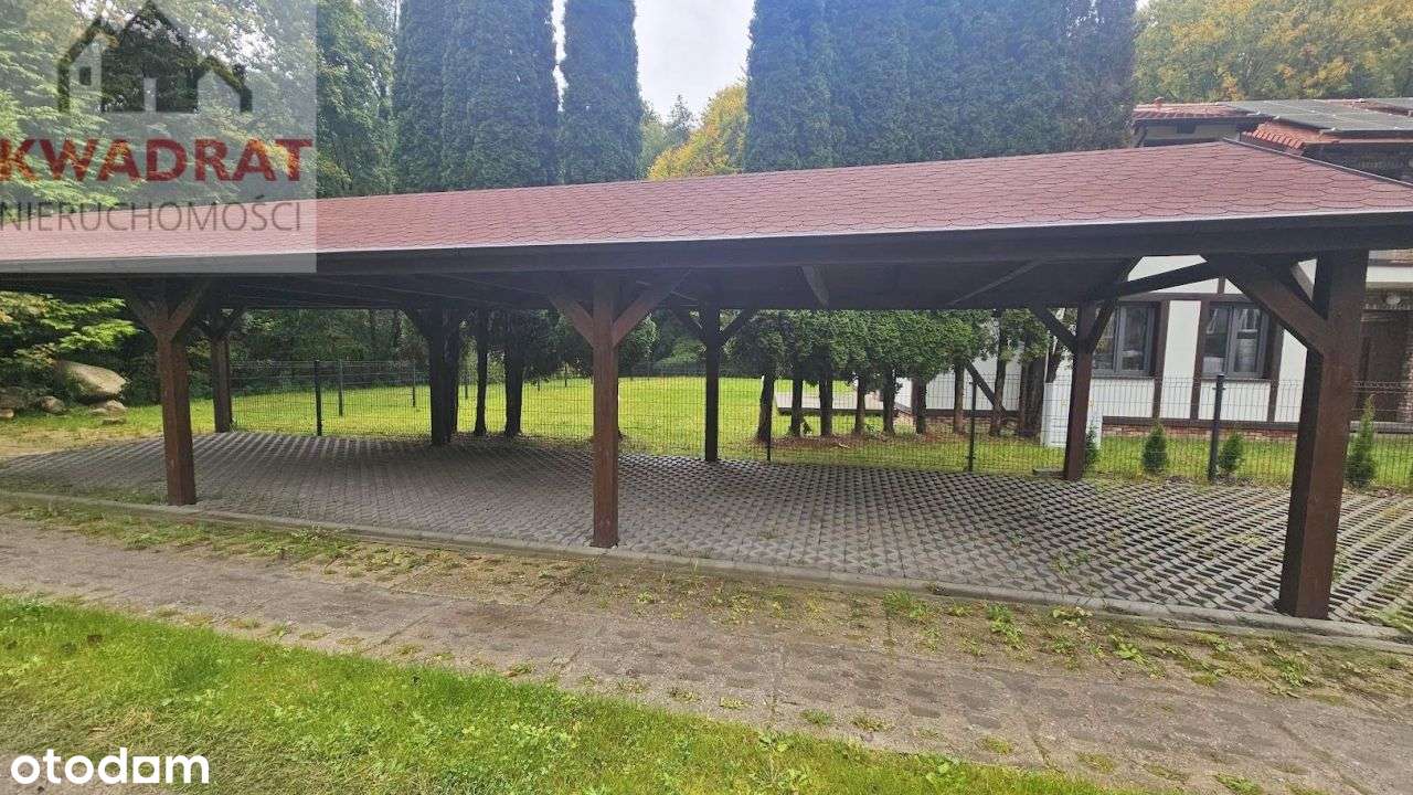 Dom przy ścianie lasu w Bażantarni obok strumyka.-5