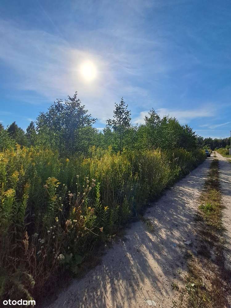 Okazja! Działka 1091 m 2 z warunkami zabudowy w Pęclinie, gm. Wiązowna-1