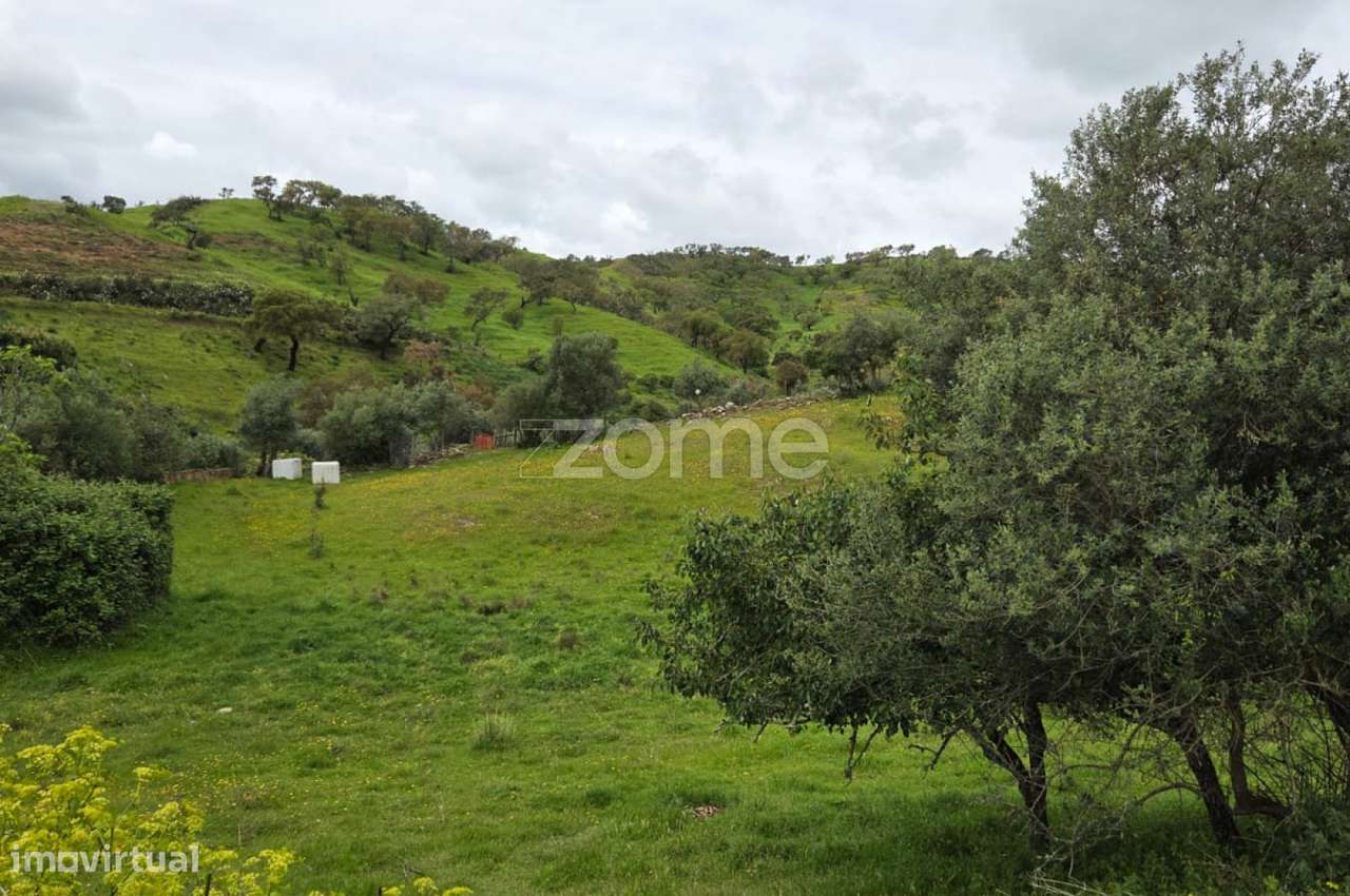 Terreno Rústico - Cultura Arvense - Grande imagem: 2/4