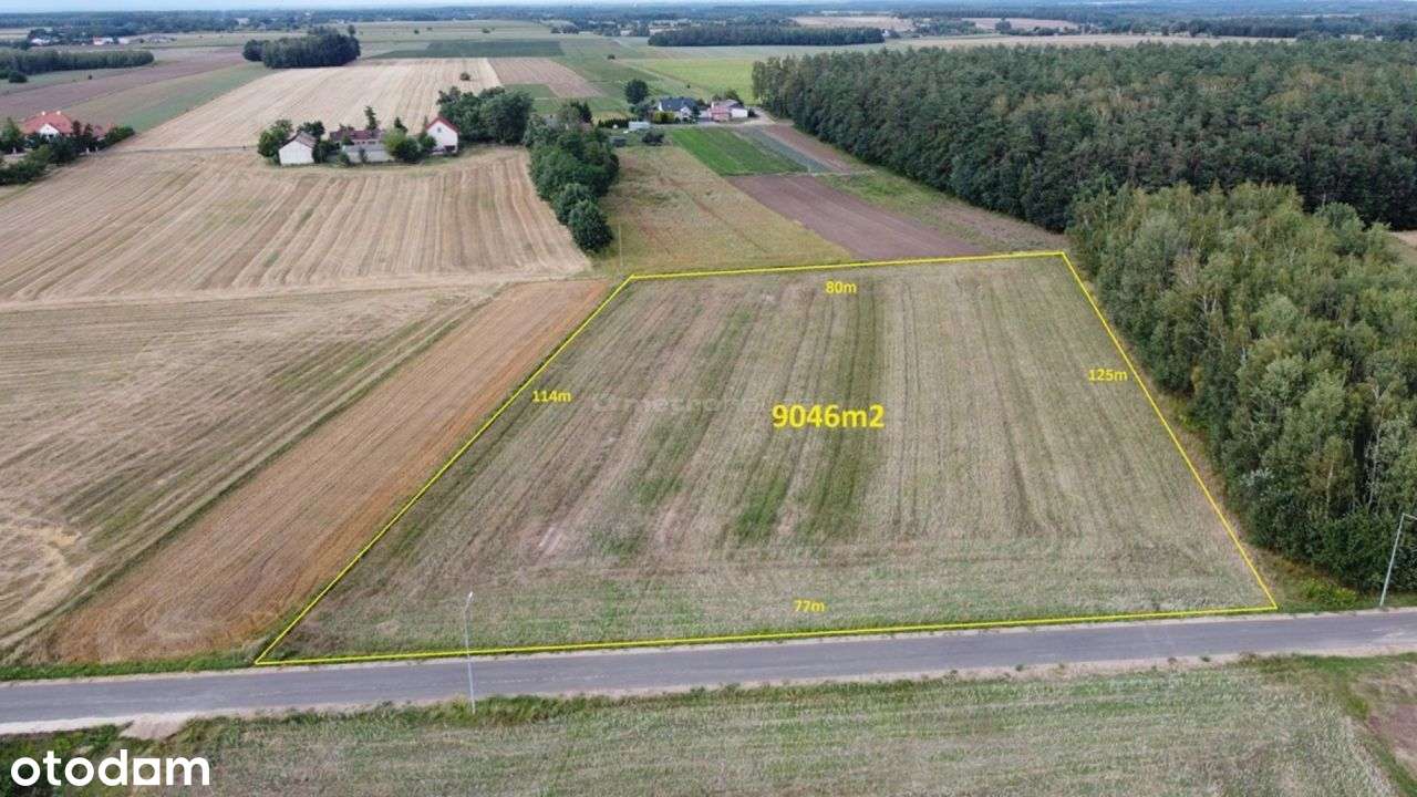 Wyjątkowa działka w niesamowicie niskiej cenie! - Pełny obrazek: 2/6