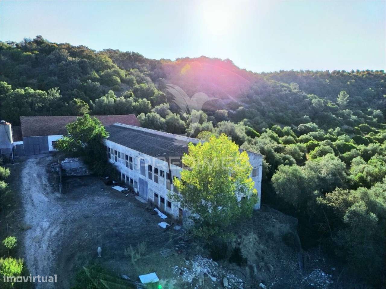 Oportunidade Única de Negócio - Aviário em Almajões, Santarém - Grande imagem: 2/34