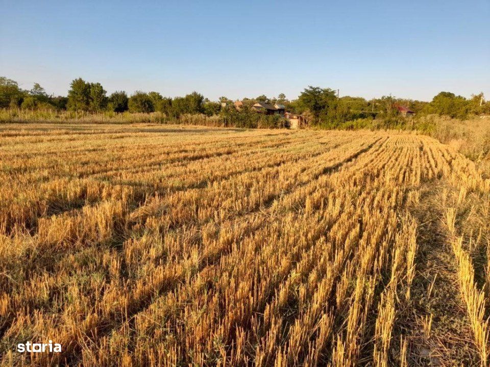 Teren de vanzare, 3997 mp, zona Stolnici