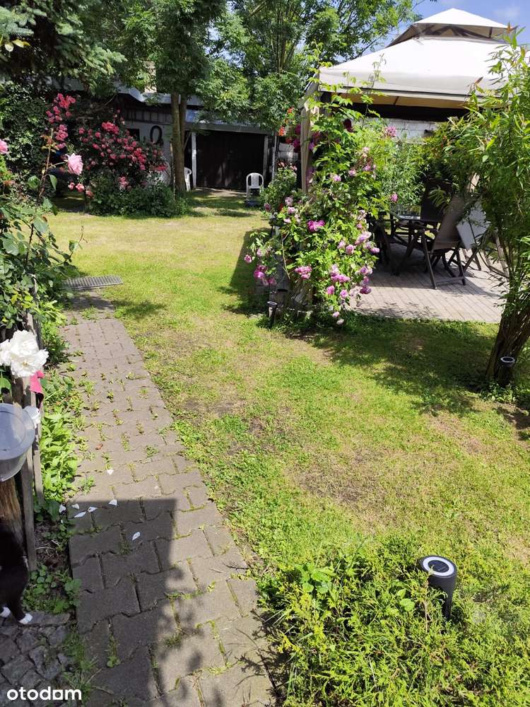 * Dom w Piotrowicach gm. Strzelin z Potencjałem i Pięknym Ogrodem ! * - Pełny obrazek: 4/13