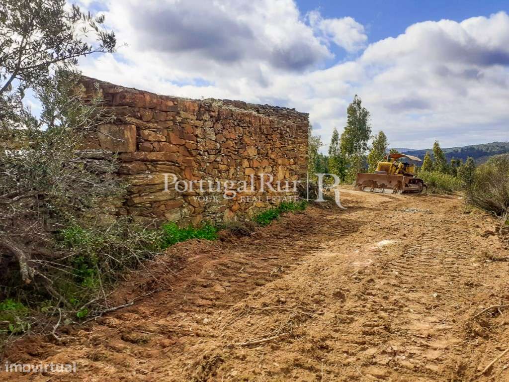 Propriedade Única com 3,5 ha Natureza Intocada, Água Abundante e Co... - Grande imagem: 4/16