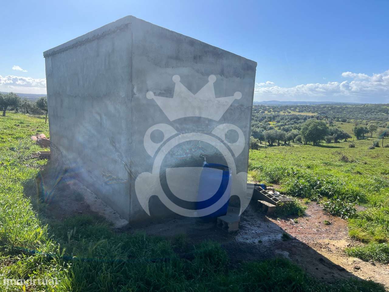 Terreno Misto com Piscinas e Olival – Portel - Grande imagem: 4/25