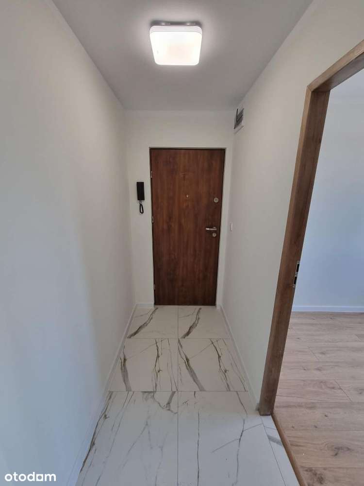 cztery pokoje, po generalnym remoncie, balkon, Puł-7